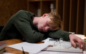 What we need to know about lazy students